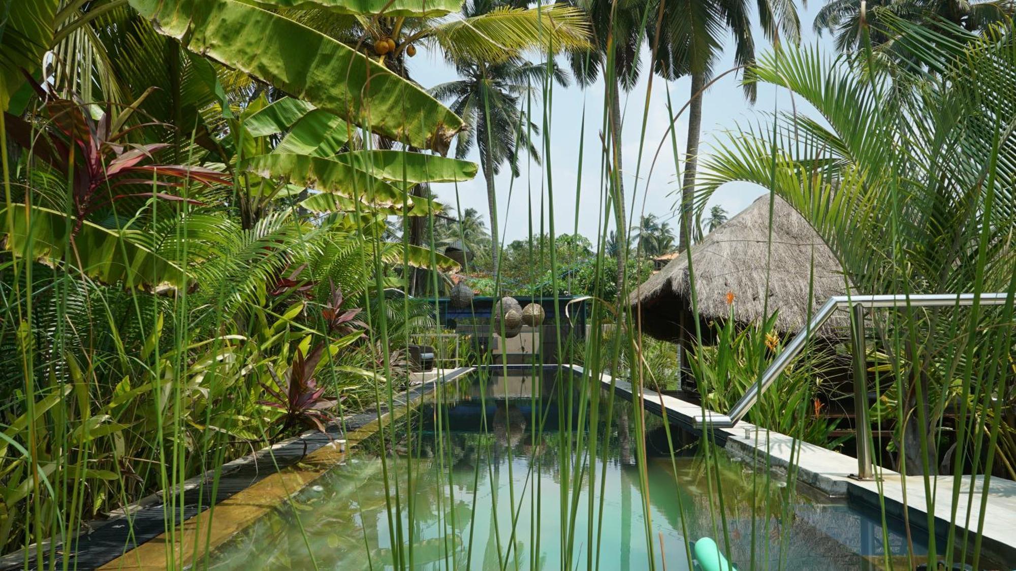 Red Coconut Villa Bentota Exterior foto