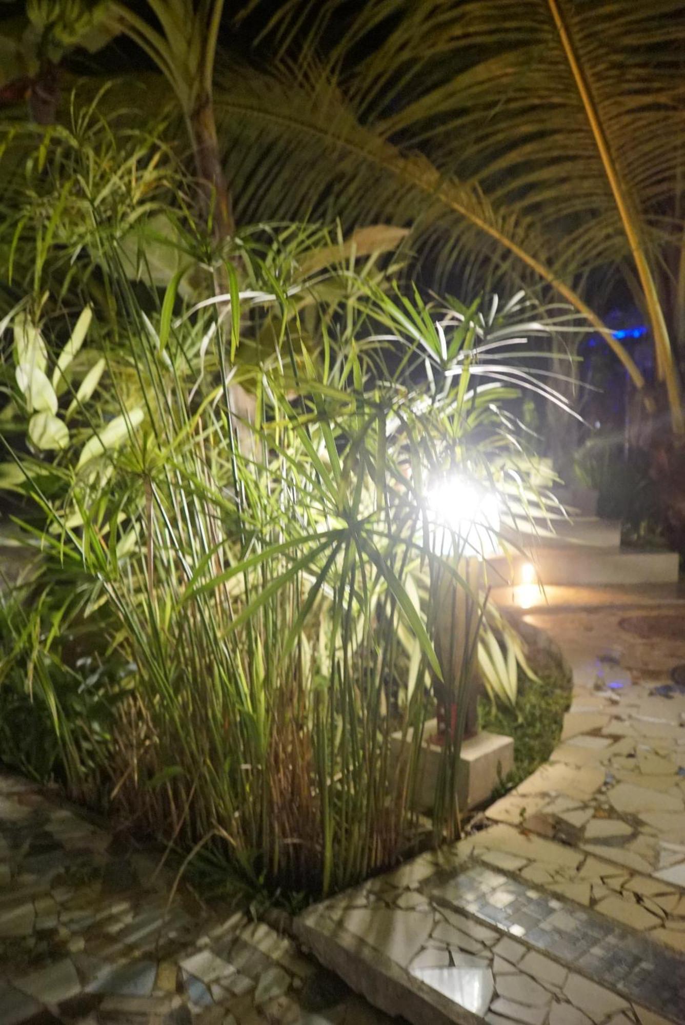 Red Coconut Villa Bentota Exterior foto